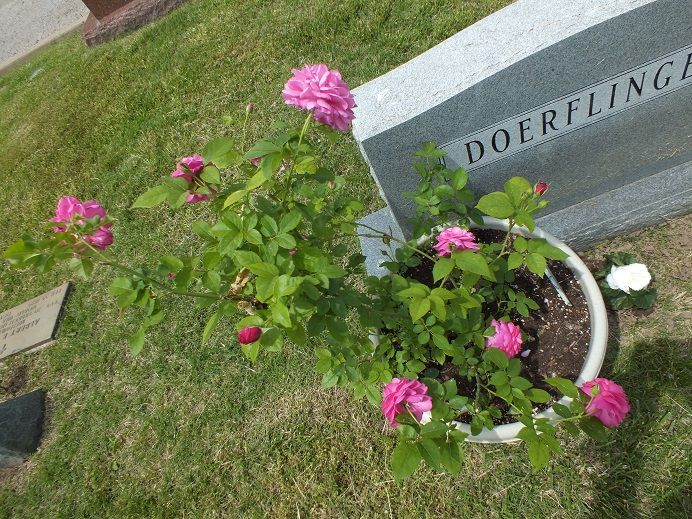  photo duftendescemetary_zps4a43dd1b.jpg